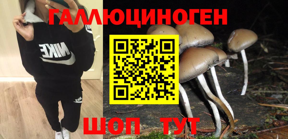 Псилоцибиновые грибы мухоморы Еманжелинск